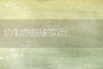 奶牛结核病的防治