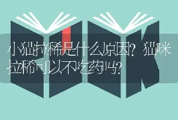 小猫拉稀是什么原因？猫咪拉稀可以不吃药吗？