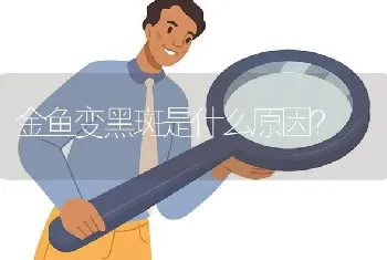 金鱼变黑斑是什么原因？