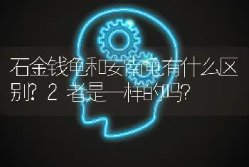 石金钱龟和安南龟有什么区别?2者是一样的吗？