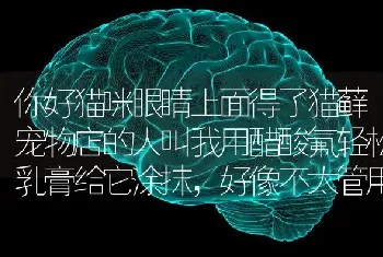 你好猫咪眼睛上面得了猫藓宠物店的人叫我用醋酸氟轻松乳膏给它涂抹，好像不太管用？