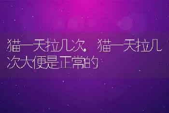 流清鼻涕怎么办，流清鼻涕怎么办速效办法