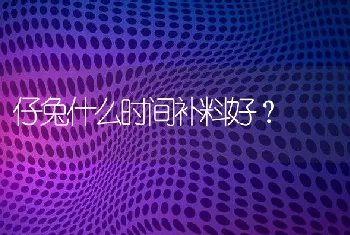 仔兔什么时间补料好？