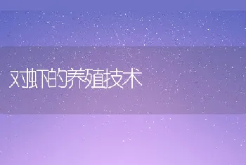 对虾的养殖技术