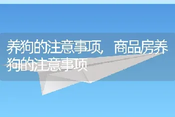 养狗的注意事项，商品房养狗的注意事项