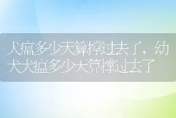 犬瘟多少天算撑过去了，幼犬犬瘟多少天算撑过去了