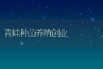 青蛙种苗养殖创业