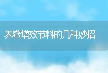 养鳖增效节料的几种妙招