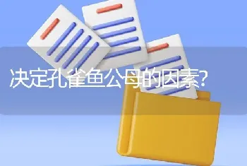 决定孔雀鱼公母的因素？