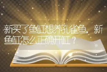 新买了鱼缸想养孔雀鱼，新鱼缸怎么正确开缸？