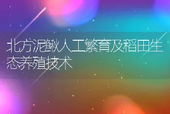 北方泥鳅人工繁育及稻田生态养殖技术