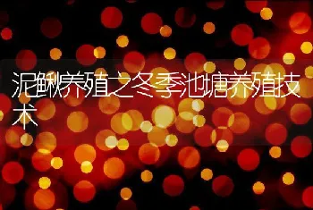 泥鳅养殖之冬季池塘养殖技术