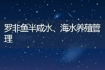 罗非鱼半咸水、海水养殖管理