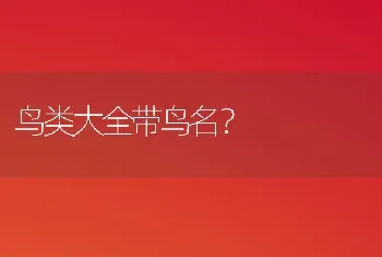 鸟类大全带鸟名？