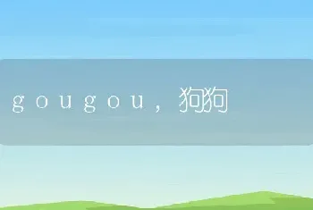 gougou，狗狗