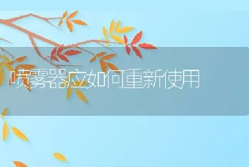 喷雾器应如何重新使用