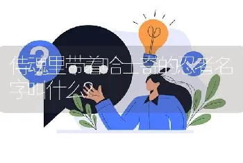 侍魂里带着哈士奇的忍者名字叫什么？