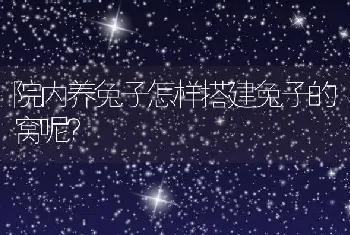 院内养兔子怎样搭建兔子的窝呢？