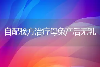 自配验方治疗母兔产后无乳