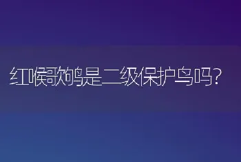 红喉歌鸲是二级保护鸟吗？