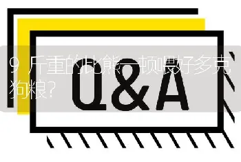 9斤重的比熊一顿喂好多克狗粮？