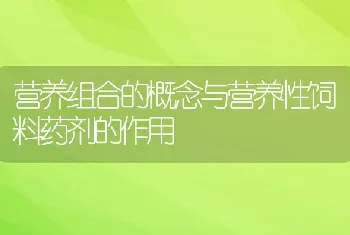 营养组合的概念与营养性饲料药剂的作用