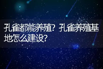 孔雀都能养殖？孔雀养殖基地怎么建设？