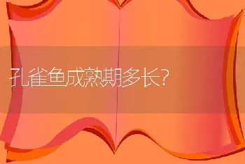 孔雀鱼成熟期多长？