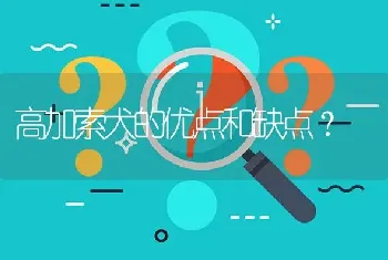 高加索犬的优点和缺点？