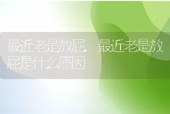 最近老是放屁，最近老是放屁是什么原因