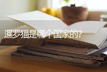 暹罗猫是哪个国家的？