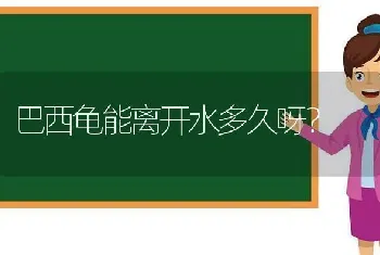 巴西龟能离开水多久呀？