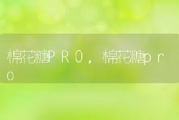 棉花糖PRO，棉花糖pro