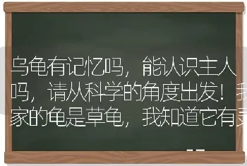 乌龟有记忆吗，能认识主人吗，请从科学的角度出发！我家的龟是草龟，我知道它有灵性？