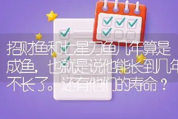 招财鱼和七星刀鱼几年算是成鱼，也就是说他能长到几年不长了。还有他们的寿命？