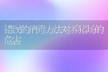 错误的消毒方法对养猪场的危害