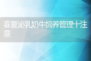 春夏泌乳奶牛饲养管理十注意