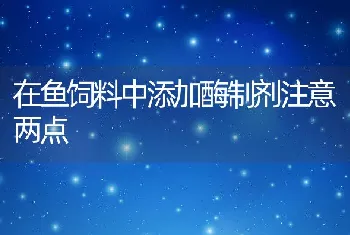 在鱼饲料中添加酶制剂注意两点