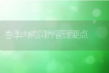 降低肉雏鸡死亡率的措施