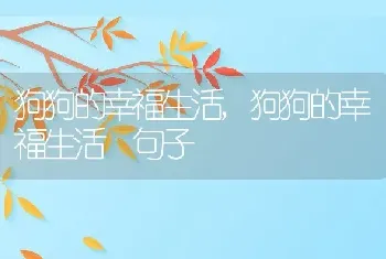 狗狗的幸福生活，狗狗的幸福生活 句子