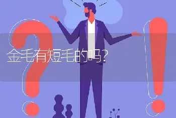 金毛有短毛的吗？