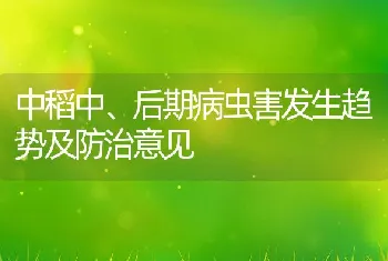 中稻中、后期病虫害发生趋势及防治意见