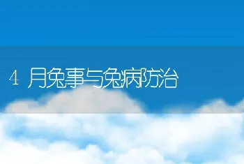 4月兔事与兔病防治