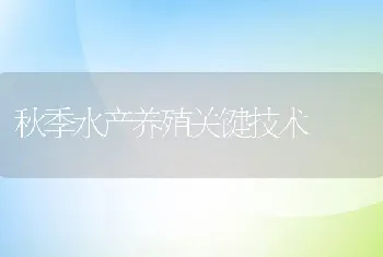 秋季水产养殖关键技术