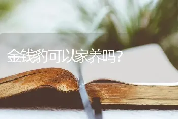 金钱豹可以家养吗？