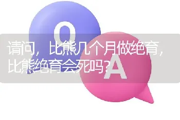 请问，比熊几个月做绝育，比熊绝育会死吗？