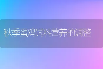 秋季蛋鸡饲料营养的调整