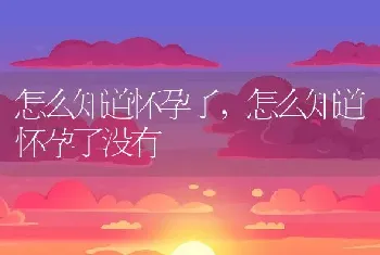 怎么知道怀孕了，怎么知道怀孕了没有