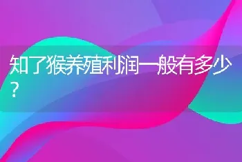 知了猴养殖利润一般有多少？