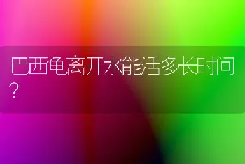 巴西龟离开水能活多长时间？